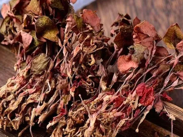Anoectochilus Roxburghii Kering Gred Super Tiba di Pasaran Khusus