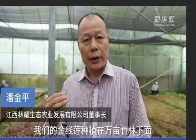 Pan Jinping, Pengerusi Jiangxi Linyao Ecological Agriculture Development Co., Ltd., ditemuramah oleh Agensi Berita Xinhua