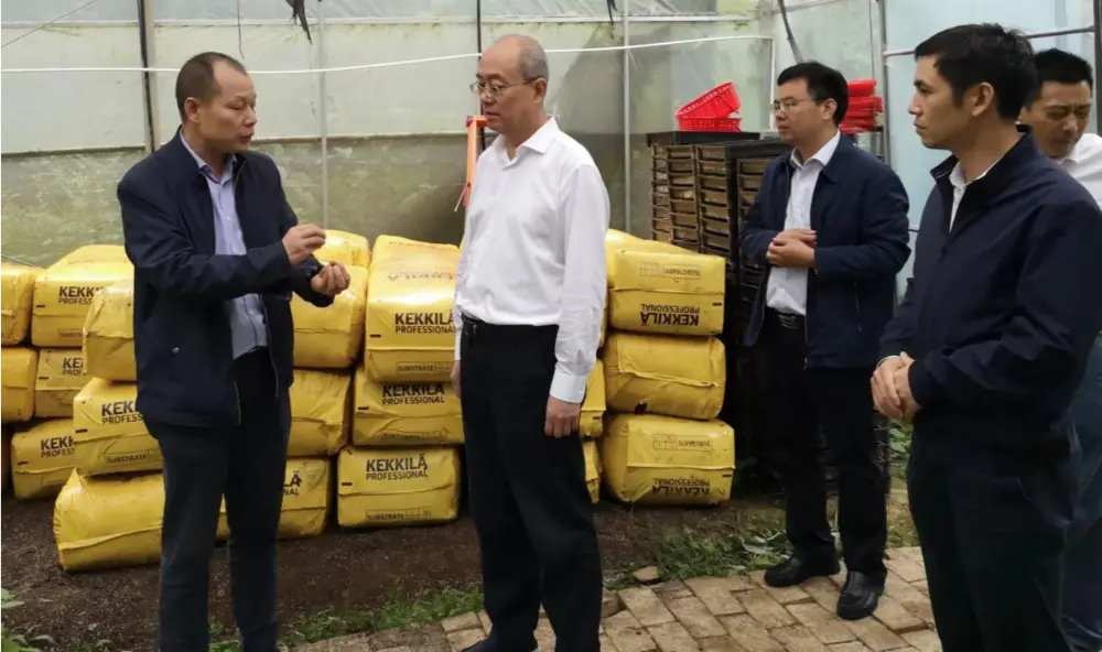 Xie Guanghua, Setiausaha Parti dan Pengarah Pentadbiran Perubatan Tradisional Cina Wilayah Jiangxi, menjalankan penyelidikan di pangkalan penanaman Anoectochilus